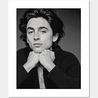 The Promise of Timothée Chalamet Posters and Art